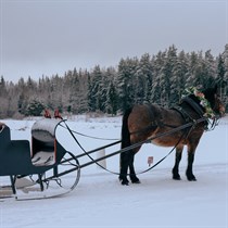 Brauciens zirga vilktās kamanās Mārcienas apvidū 