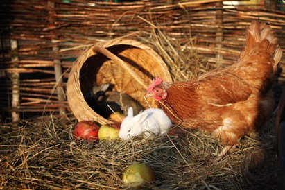 Individuāla pāru izjāde Pierīgā