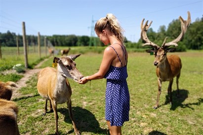 Atpūta briežu dārzā un minigolfs 2 personām 