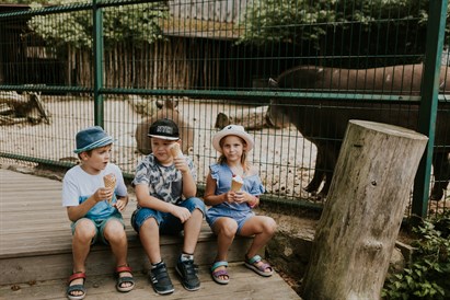 Privāta dzimšanas dienas ekskursija Rīga ZOO