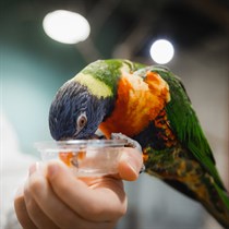 Zooloģiskā dārza „ZOOPARK.LT” abonements 