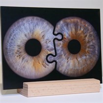 Acu foto glezna uz statīva ViiEye studijā