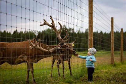 Briežu dārza “Dobelnieki” ģimenes apmeklējums
