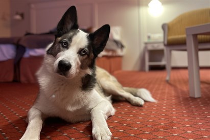 SPA atpūta diviem viesnīcā "Europa Royale Druskininkai" Druskininku vecpilsētas sirdī