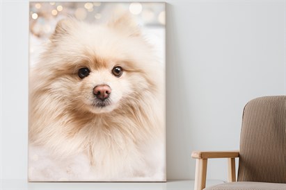 Mājdzīvnieku fotosesija ar mīluļa portretu uz kanvas